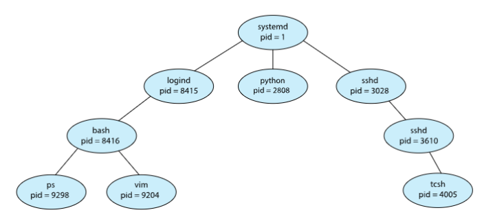 04_process_tree