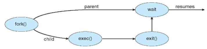 05_exec_example