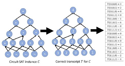 03_transcript_func